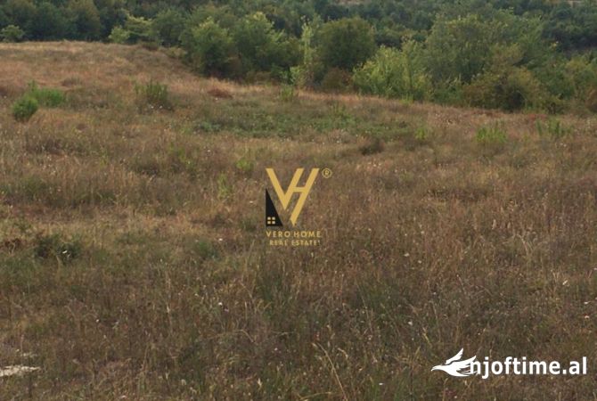 Land for Sale  in Tirana - 275,000 Euro