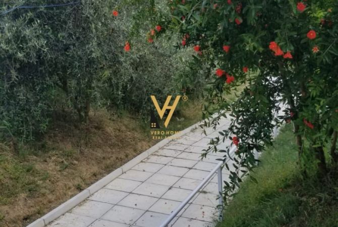 Shtepi me qera 2+1 ne Tirane - 600 Euro