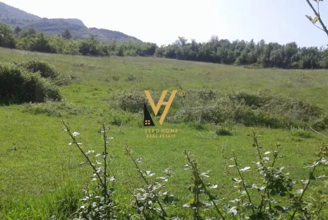 Truall ose Toke  ne Tirane - 1,700,000 Euro