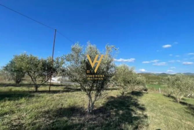 Truall ose Toke  ne Tirane - 760,000 Euro