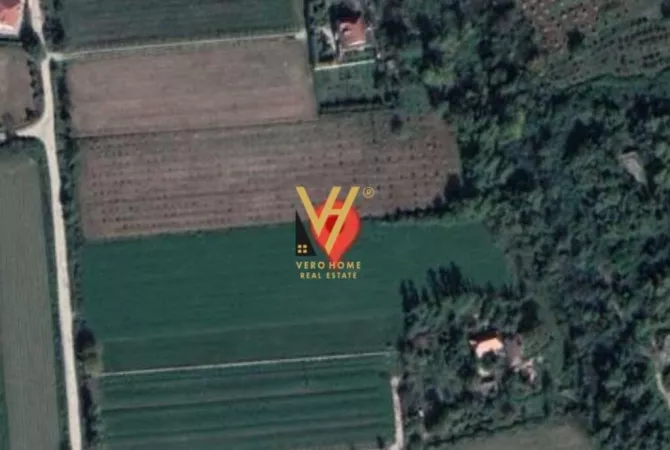 Truall ose Toke  ne Tirane - 700,000 Euro
