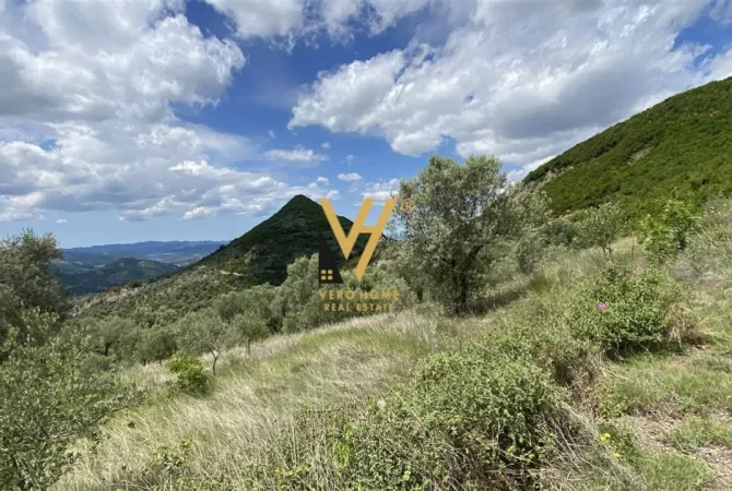 Truall ose Toke ne Tirane - 300,000 Euro