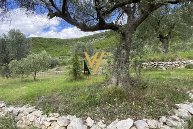 Truall ose Toke ne Tirane - 300,000 Euro