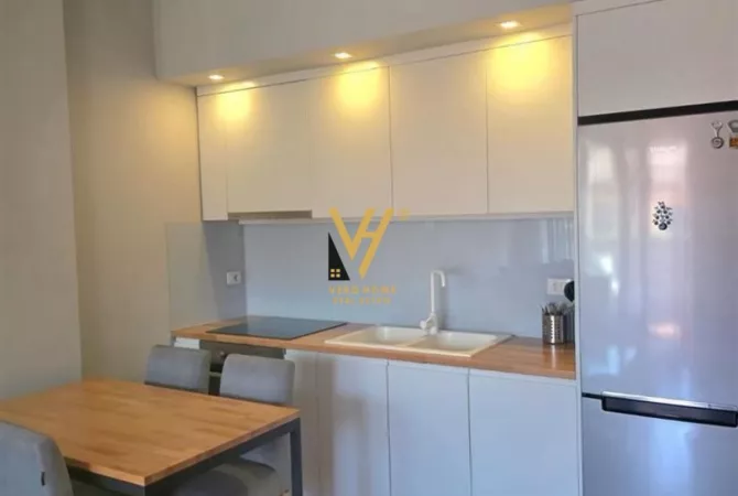 Shtepi me qera Apartament ne Tirane, 1+1, Mobilimi E mobiluar, Pagesa 60,000  Leke.