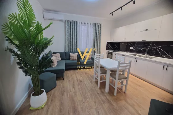 House for Rent 2+1 in Tirana - 750 Euro