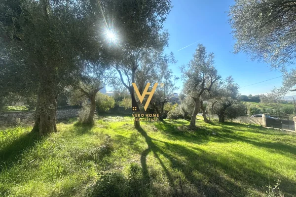 Truall ose Toke ne Tirane - 150,000 Euro