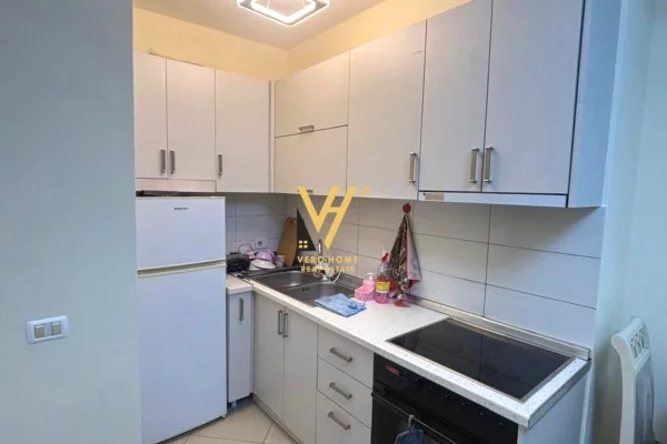 Shtepi me qera 1+1 ne Tirane - 480 Euro