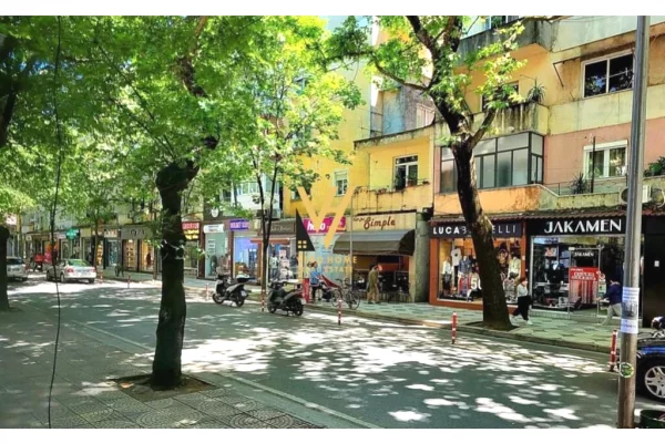 Ambient biznesi me qera 1+1 ne Tirane - 1,000 Euro