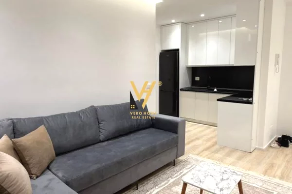 Shtepi ne shitje Apartament ne Tirane, 1+1, Mobilimi E mobiluar, Pagesa 13,500,000  Leke.