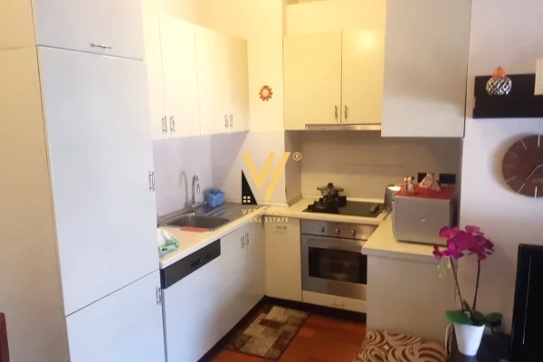 Apartment for rent in Tirana 1+1, Furnished