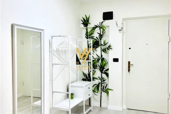 Apartment for rent in Tirana 1+1, Furnished