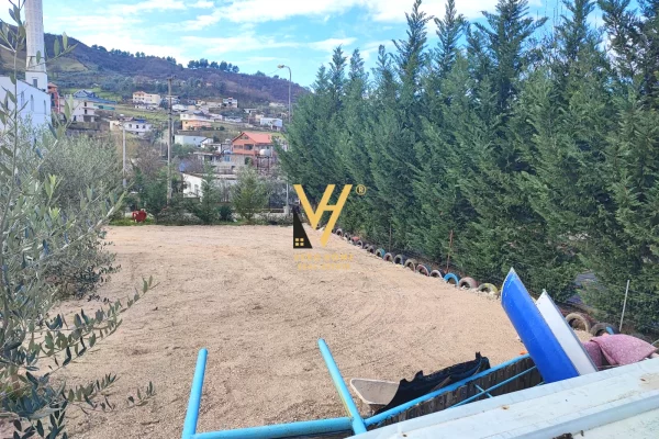 Ambient biznesi me qera 6+1 ne Tirane - 60,000 Leke